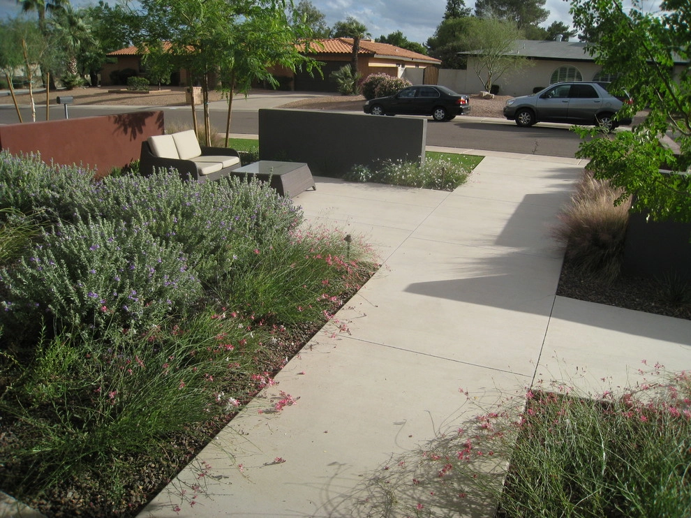 Lowell Britt Residence by Ruben Valenzuela, Landscape Architect - Photo 4