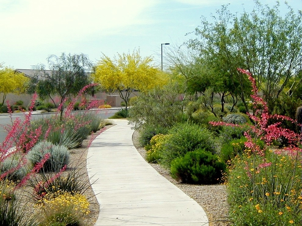 Ruben Valenzuela, Landscape Architect - Photo 9