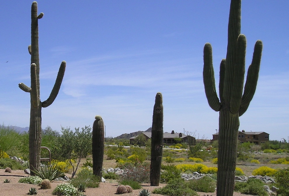 Ruben Valenzuela, Landscape Architect - Photo 2