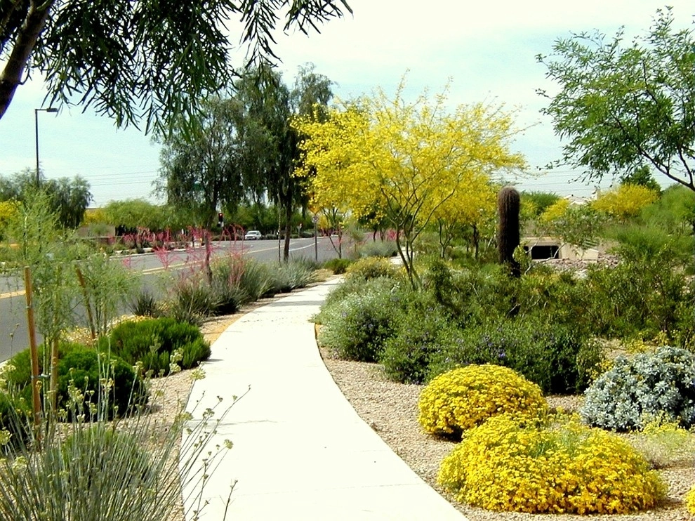 Stetson Hills by Ruben Valenzuela, Landscape Architect - Photo 2