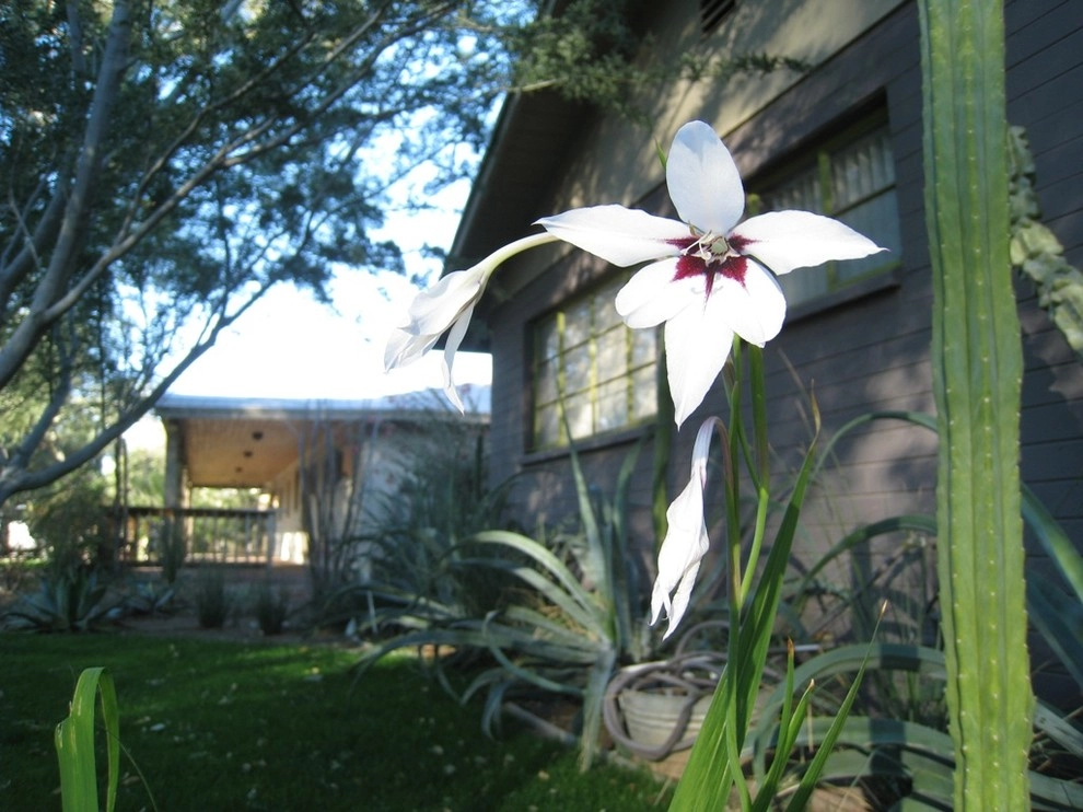 Ruben Valenzuela, Landscape Architect - Photo 3