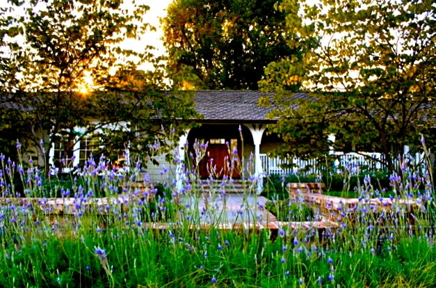 Ranch Style Beauty by Rue Group, Inc. / Kathryn Rue, Landscape Architect - Photo 2