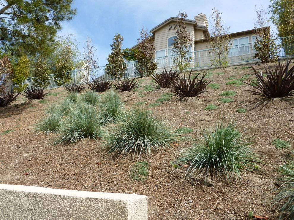 Contemporary Backyard by Rue Group, Inc. / Kathryn Rue, Landscape Architect - Photo 16