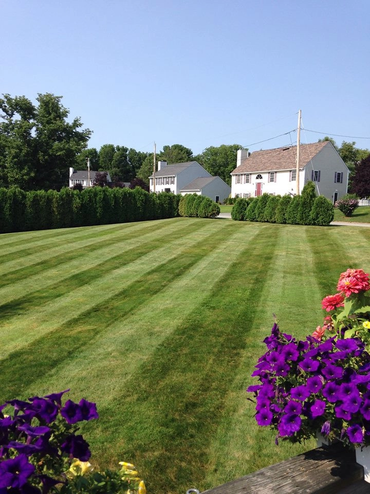 Bayside Landscaping & Hardscaping - Photo 6