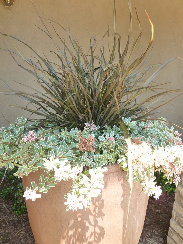 Natural Drought Tolerant Garden by Rue Group, Inc. / Kathryn Rue, Landscape Architect - Photo 8