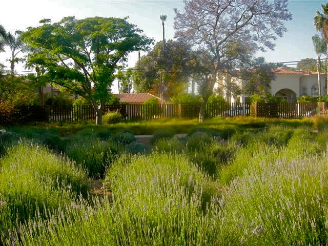Laguna Lake Estate by Rue Group, Inc. / Kathryn Rue, Landscape Architect - Photo 13
