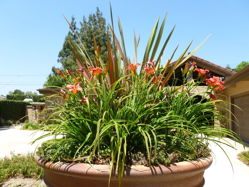 Natural Drought Tolerant Garden by Rue Group, Inc. / Kathryn Rue, Landscape Architect - Photo 13