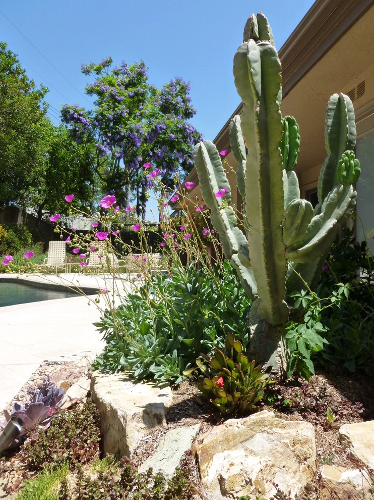 Natural Drought Tolerant Garden by Rue Group, Inc. / Kathryn Rue, Landscape Architect - Photo 11