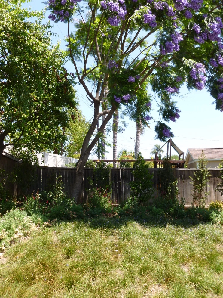 Natural Drought Tolerant Garden by Rue Group, Inc. / Kathryn Rue, Landscape Architect - Photo 5