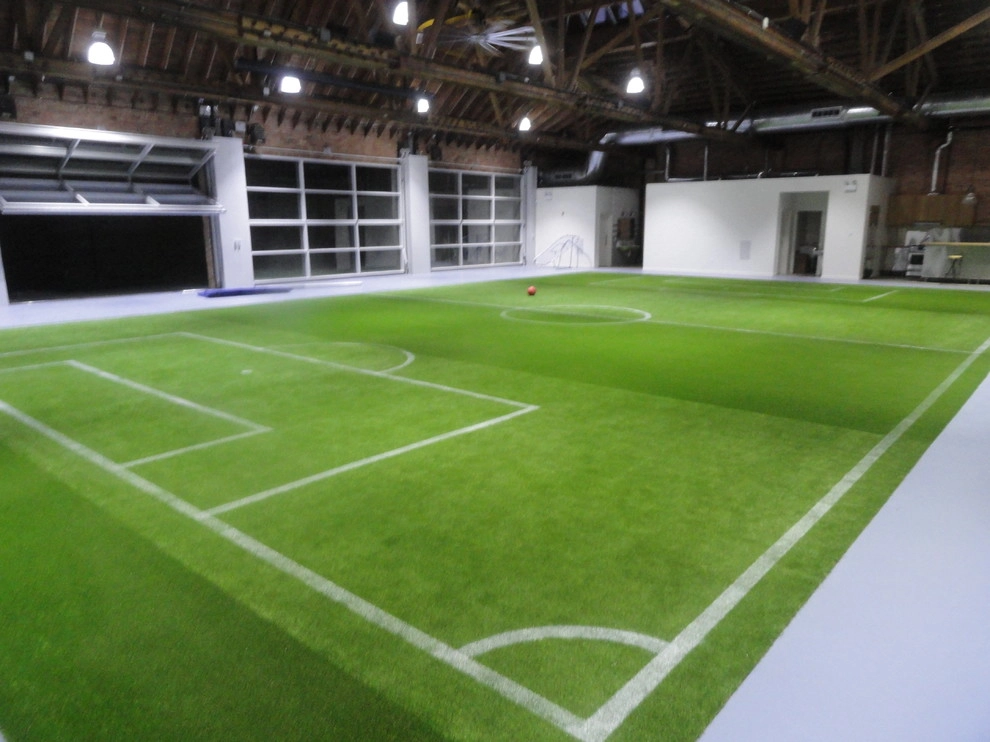 Private Indoor Sports Field by RugZoom Synthetic Grass & Landscaping - Photo 2