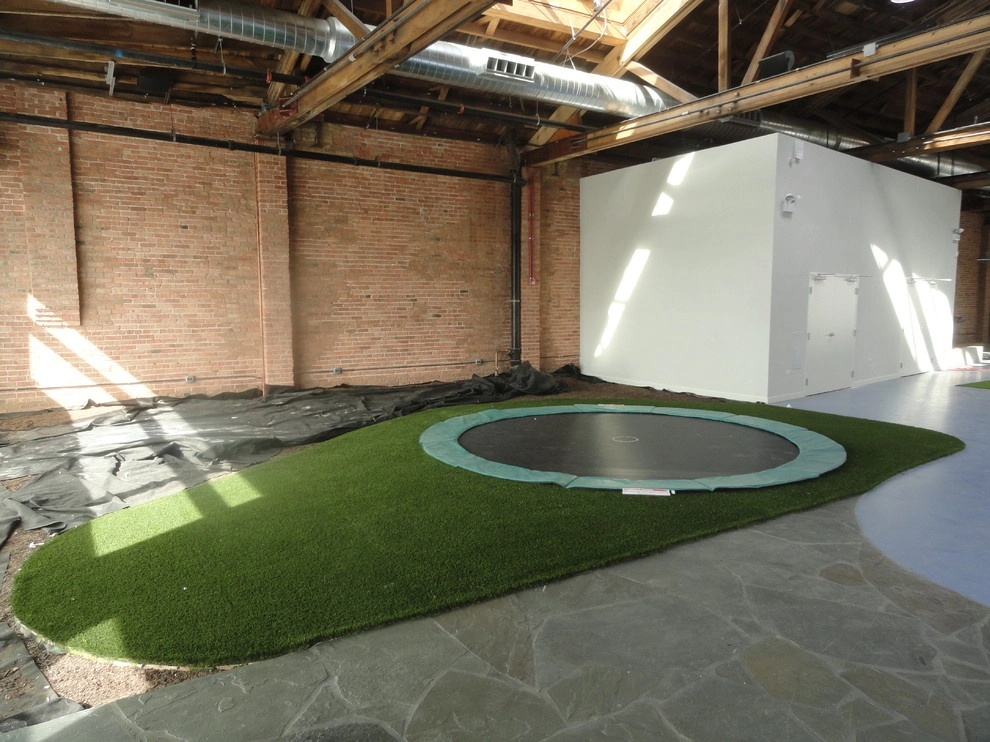 Private Indoor Sports Field by RugZoom Synthetic Grass & Landscaping - Photo 11