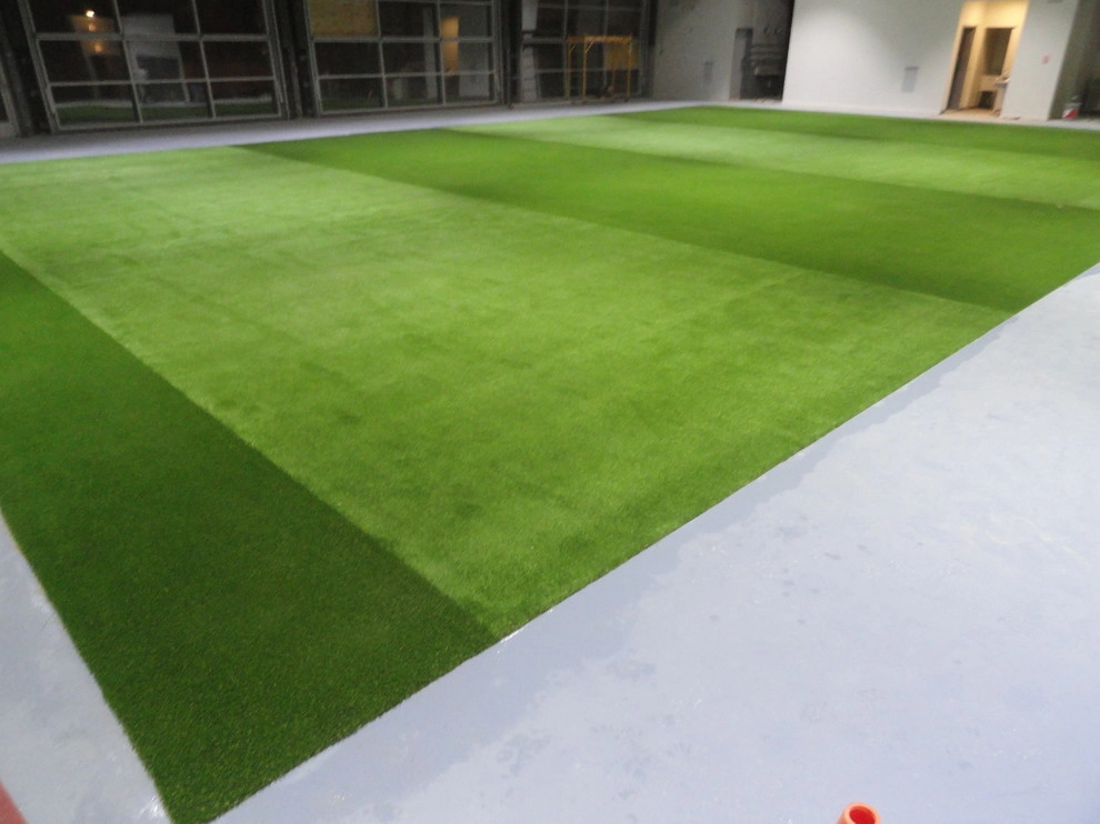 Private Indoor Sports Field by RugZoom Synthetic Grass & Landscaping - Photo 26