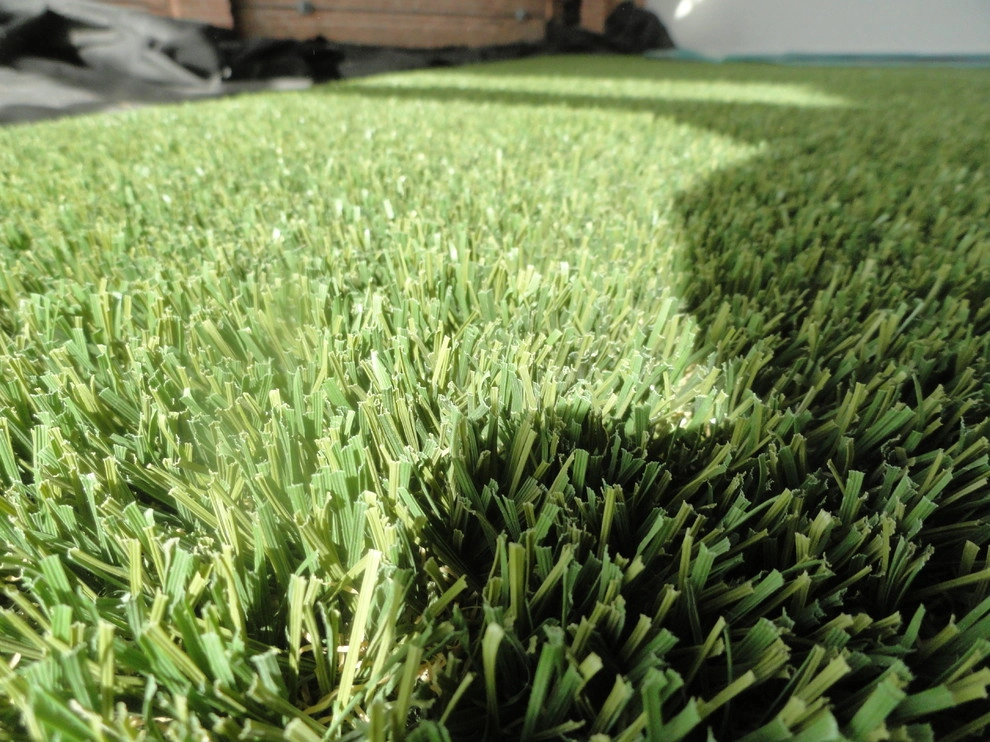 Private Indoor Sports Field by RugZoom Synthetic Grass & Landscaping - Photo 27