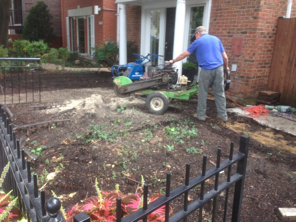 Turf & Hardscape | STEP x STEP by RugZoom Synthetic Grass & Landscaping - Photo 18