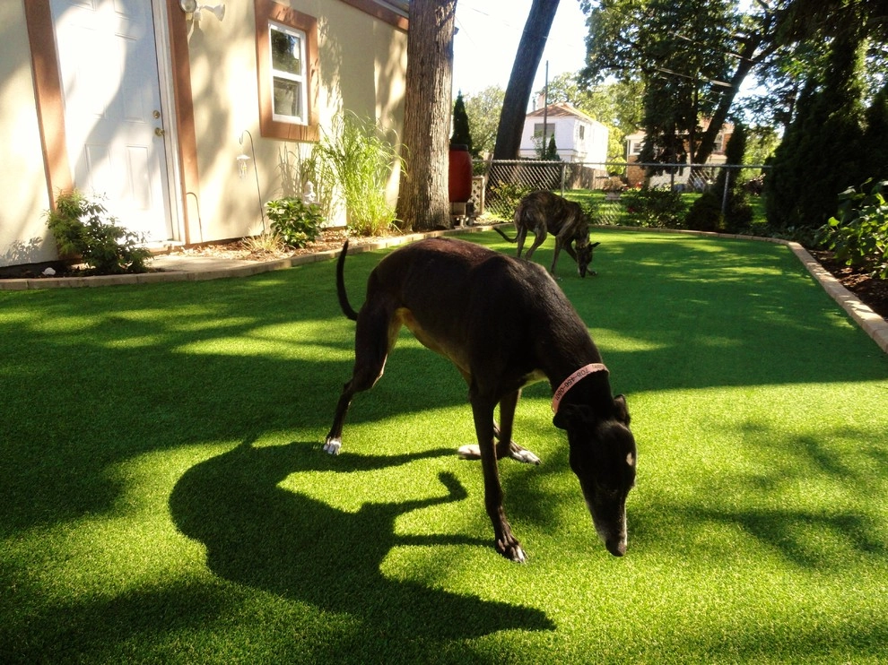 Soft Turf Landscape Edging by RugZoom Synthetic Grass & Landscaping - Photo 8