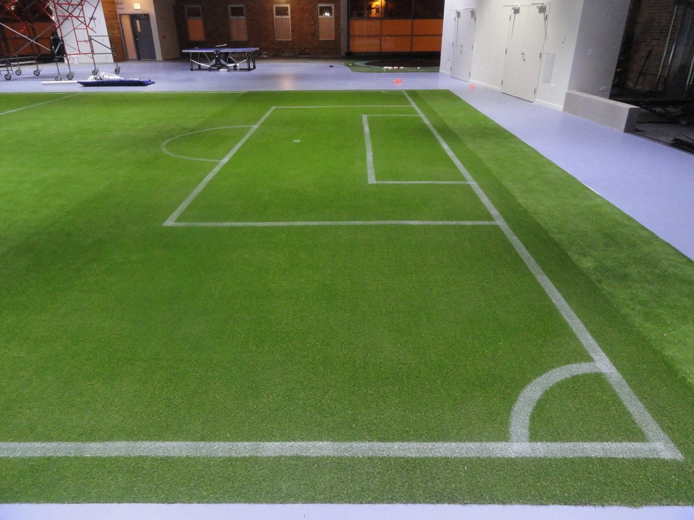 Private Indoor Sports Field by RugZoom Synthetic Grass & Landscaping - Photo 8