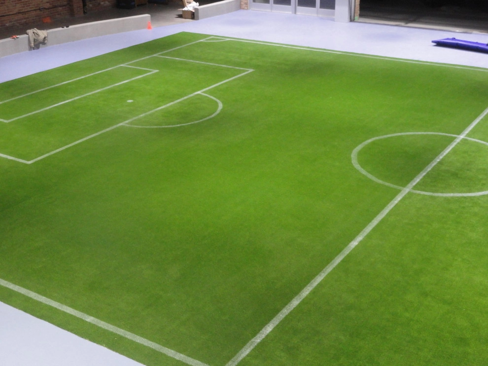 Private Indoor Sports Field by RugZoom Synthetic Grass & Landscaping - Photo 12