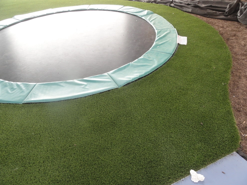 Private Indoor Sports Field by RugZoom Synthetic Grass & Landscaping - Photo 6