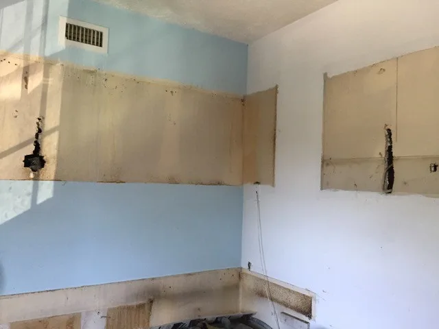 Two-Bedroom Apartment Renovation by Centerbeam Construction - Photo 2