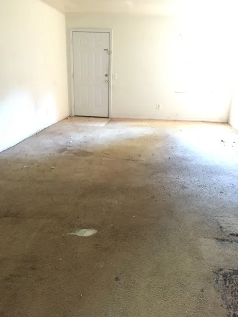Two-Bedroom Apartment Renovation by Centerbeam Construction - Photo 14