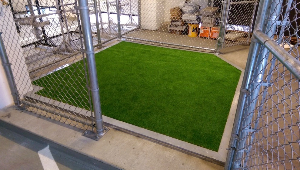 Pet Drainage Box by RugZoom Synthetic Grass & Landscaping - Photo 8
