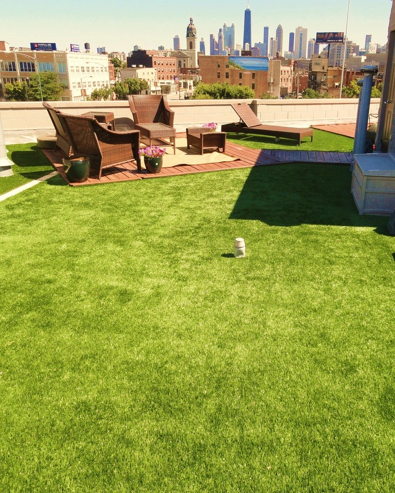 Turf Roof by RugZoom Synthetic Grass & Landscaping - Photo 3