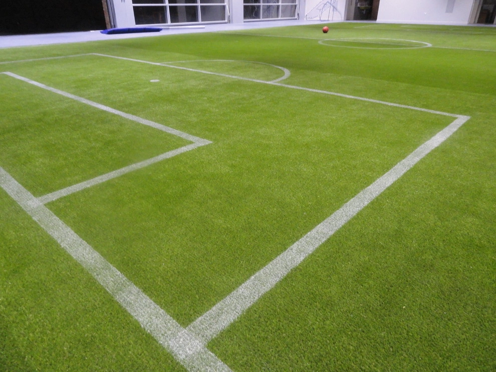 Private Indoor Sports Field by RugZoom Synthetic Grass & Landscaping - Photo 24