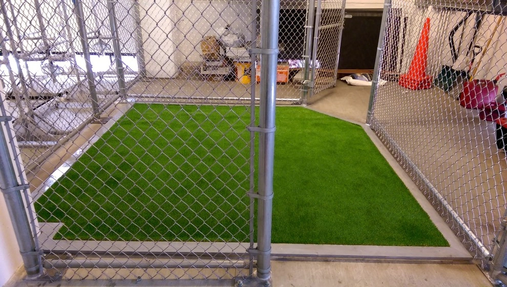Pet Drainage Box by RugZoom Synthetic Grass & Landscaping - Photo 6