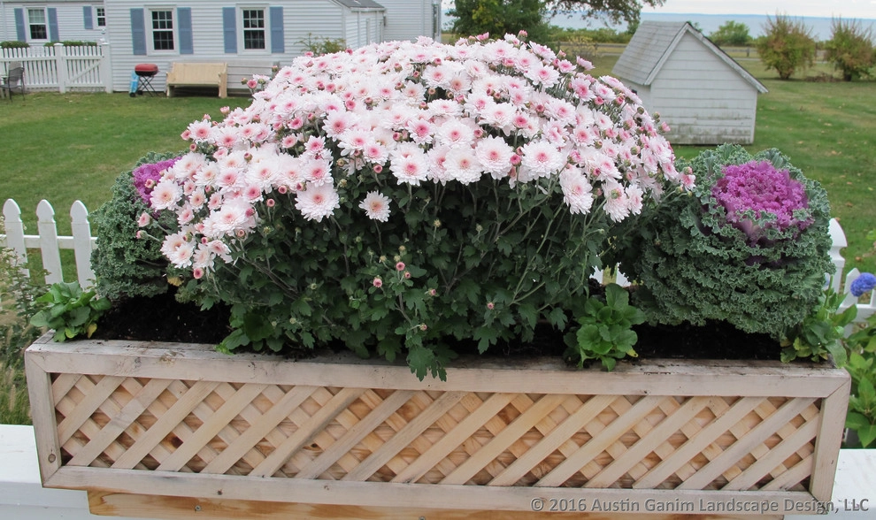 Planter & Container Garden Design - Fairfield County, CT by Austin Ganim Landscape Design, LLC - Photo 47