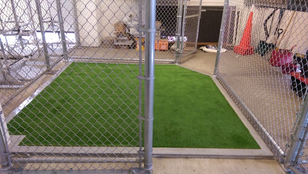 Pet Drainage Box by RugZoom Synthetic Grass & Landscaping - Photo 9