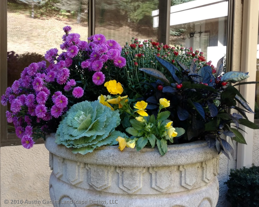 Planter & Container Garden Design - Fairfield County, CT by Austin Ganim Landscape Design, LLC - Photo 35
