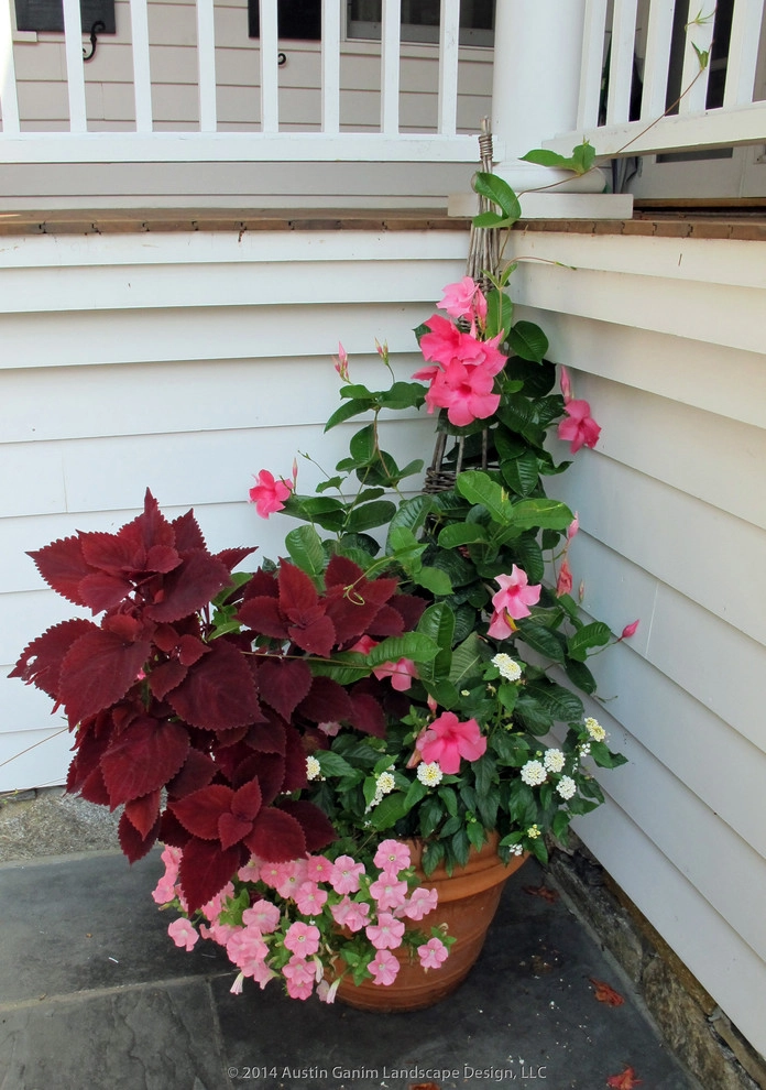 Planter & Container Garden Design - Fairfield County, CT by Austin Ganim Landscape Design, LLC - Photo 37
