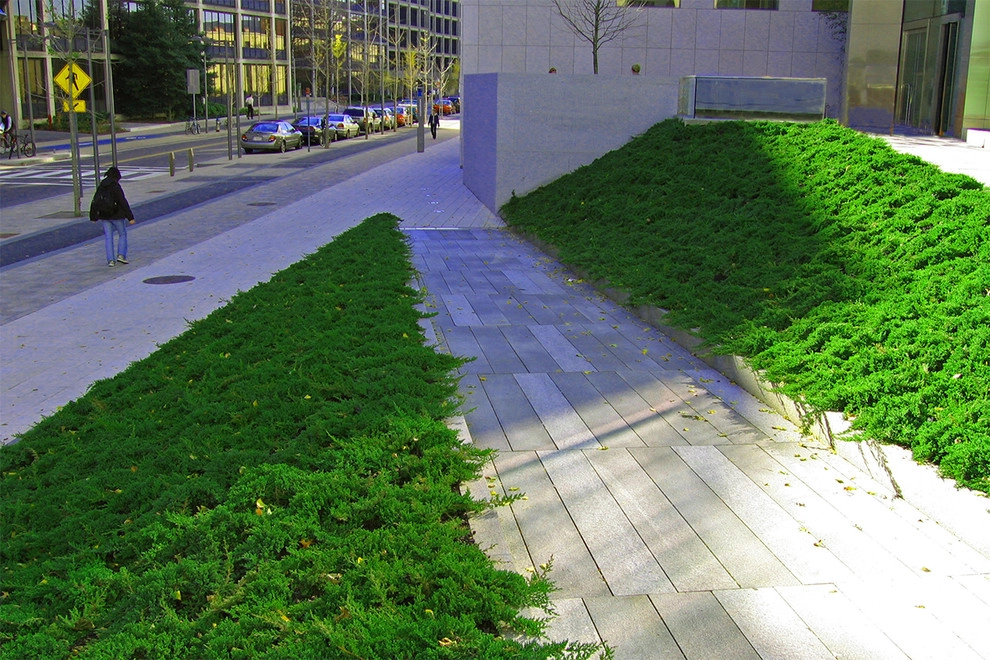 MIT Brain and Cognitive Science Building by Ryan Associates Landscape Architecture & Planning - Photo 6