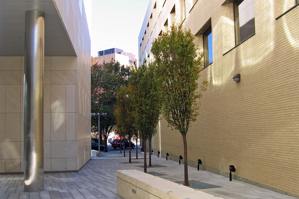 MIT Brain and Cognitive Science Building by Ryan Associates Landscape Architecture & Planning - Photo 10