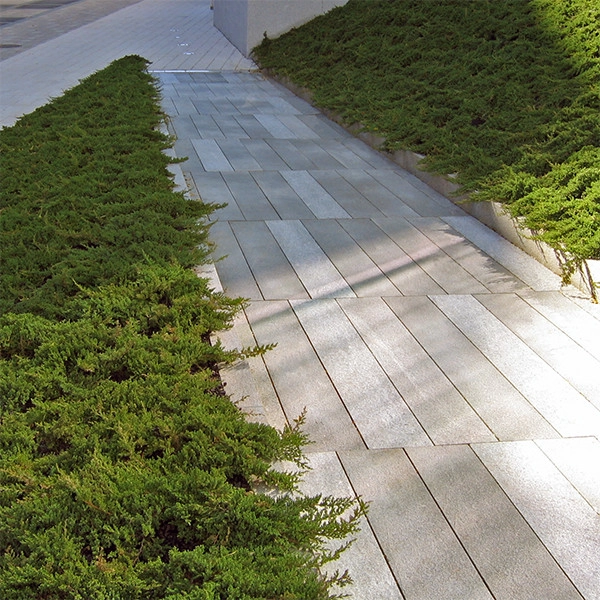 MIT Brain and Cognitive Science Building by Ryan Associates Landscape Architecture & Planning - Photo 7