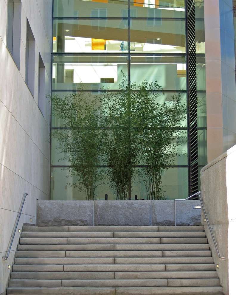 MIT Brain and Cognitive Science Building by Ryan Associates Landscape Architecture & Planning - Photo 9