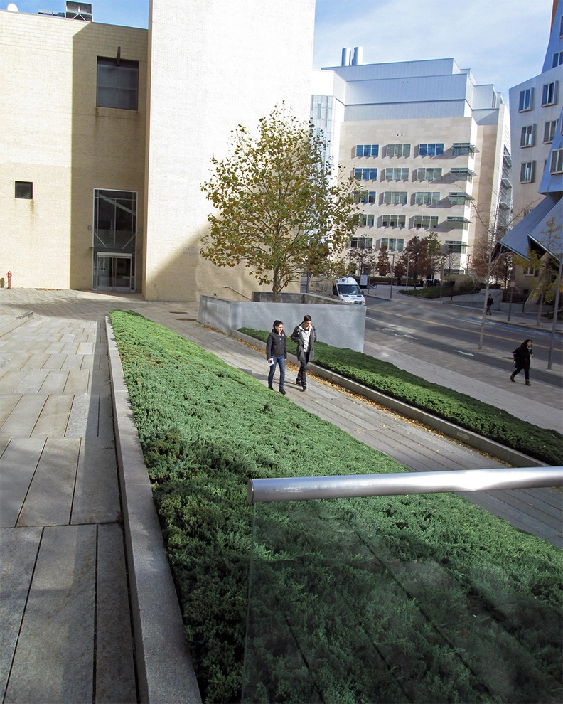 MIT Brain and Cognitive Science Building by Ryan Associates Landscape Architecture & Planning - Photo 3