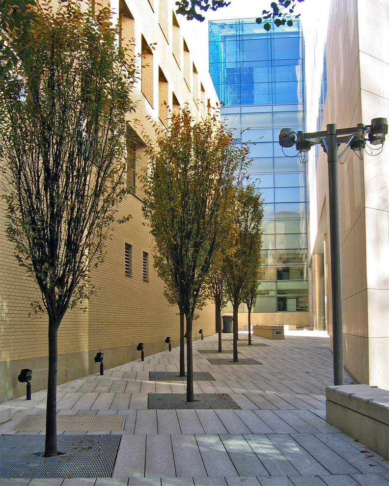 MIT Brain and Cognitive Science Building by Ryan Associates Landscape Architecture & Planning - Photo 8