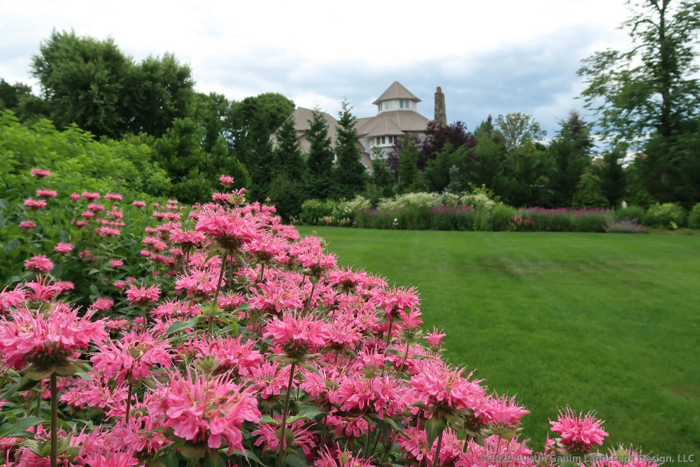 Hillside Pollinator Garden by Austin Ganim Landscape Design, LLC - Photo 2