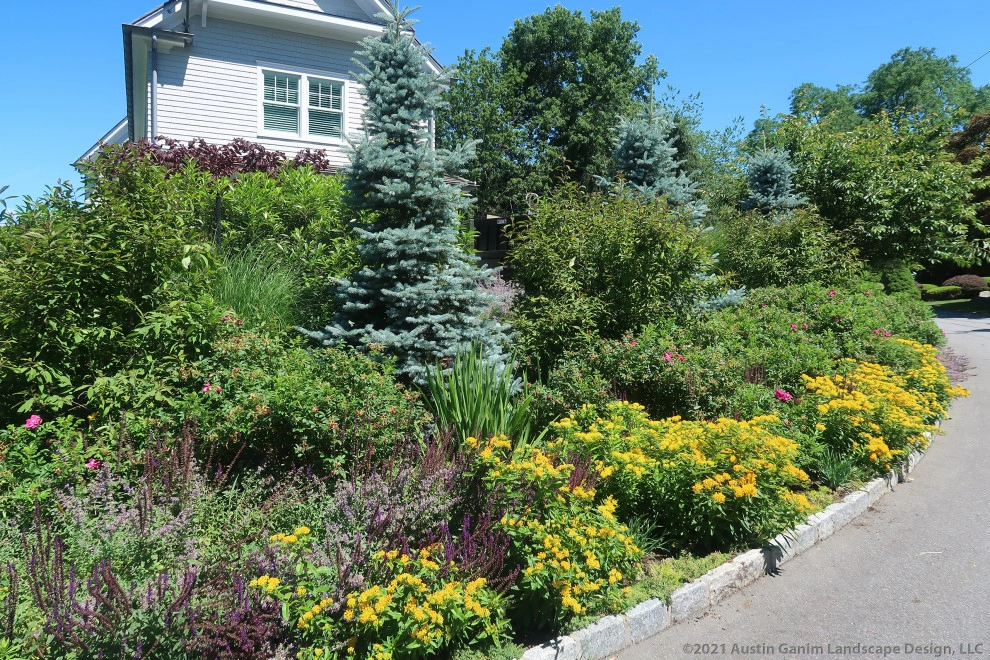 Hillside Pollinator Garden by Austin Ganim Landscape Design, LLC - Photo 14