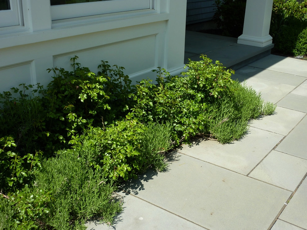 Wellesley Residence by Ryan Associates Landscape Architecture & Planning - Photo 3