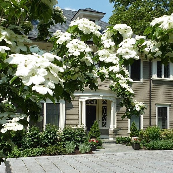 Marsh Road by Ryan Associates Landscape Architecture & Planning - Photo 7
