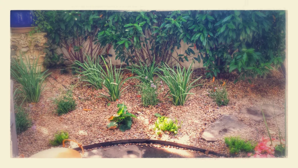 Landscaping and Masonry Projects by The Farina Company - Photo 5