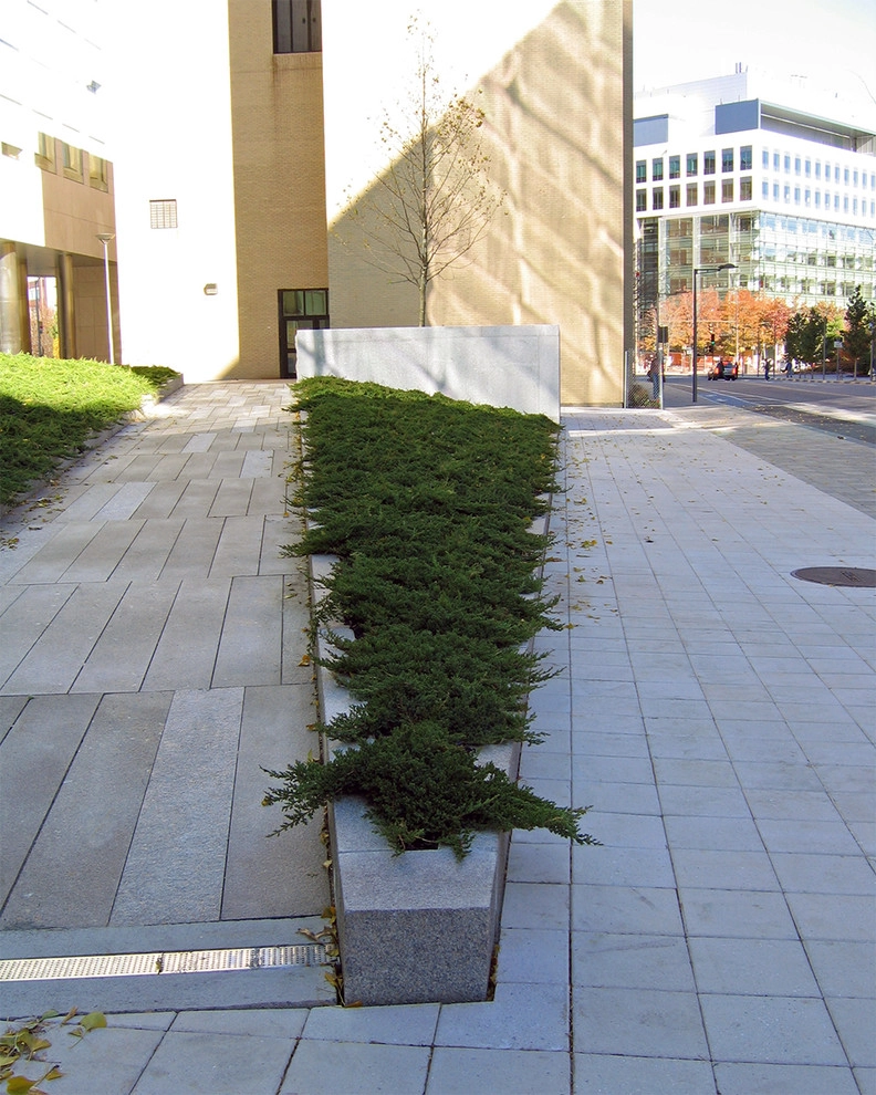 MIT Brain and Cognitive Science Building by Ryan Associates Landscape Architecture & Planning - Photo 5