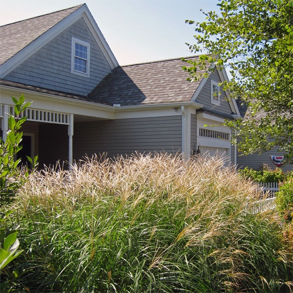 Villages at Brookside by Ryan Associates Landscape Architecture & Planning - Photo 5