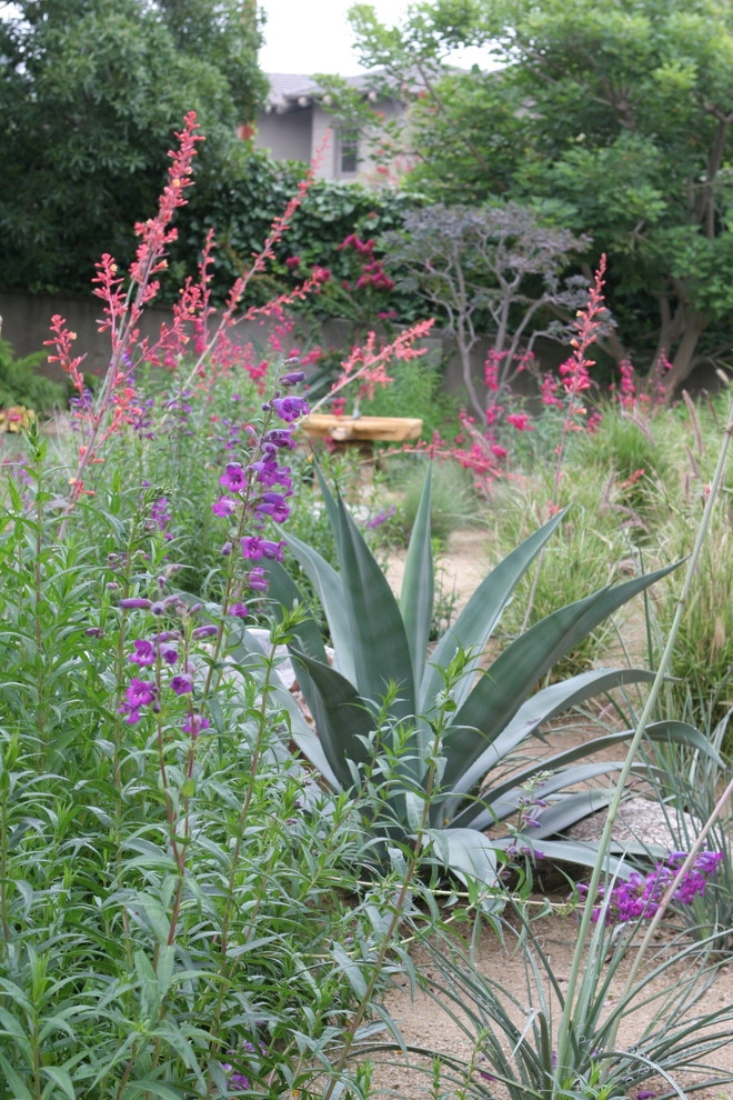La Canada Spanish Revival by Sacred Space Garden Design Inc - Photo 2