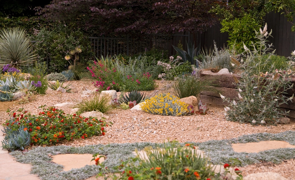 Arcadia Dry Garden by Sacred Space Garden Design Inc - Photo 7