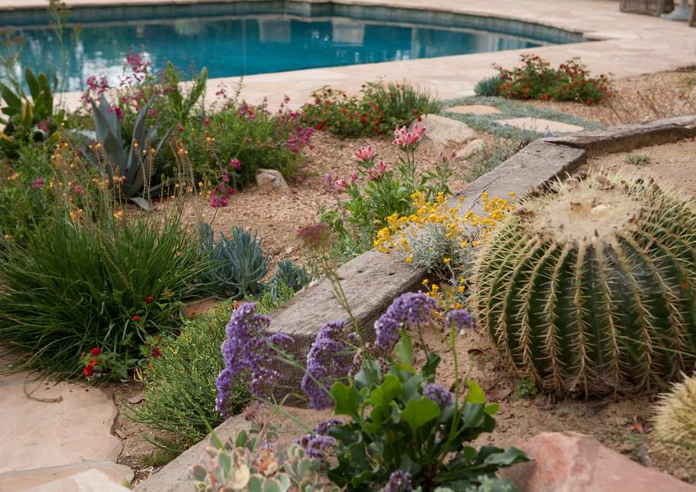 Arcadia Dry Garden by Sacred Space Garden Design Inc - Photo 8