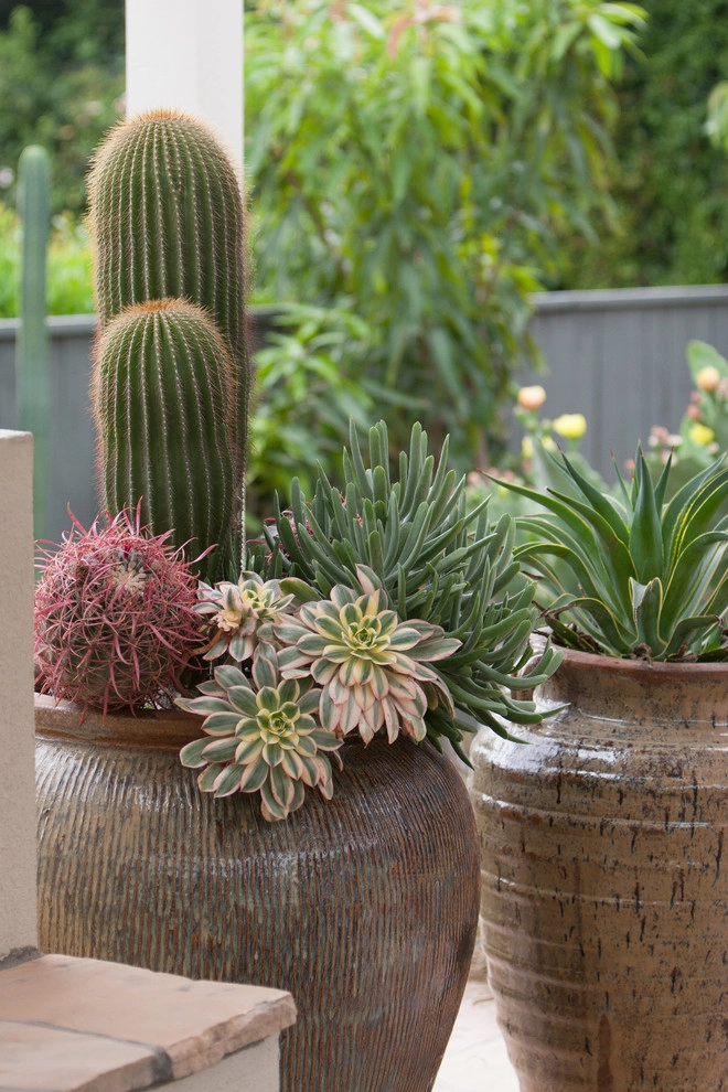 Arcadia Dry Garden by Sacred Space Garden Design Inc - Photo 2