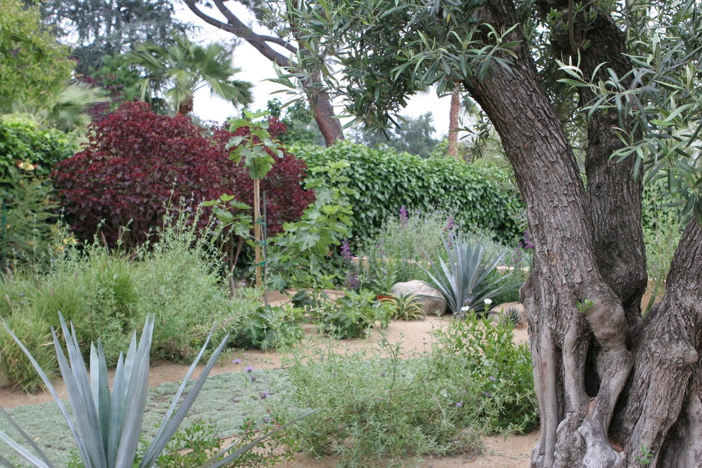 La Canada Spanish Revival by Sacred Space Garden Design Inc - Photo 11